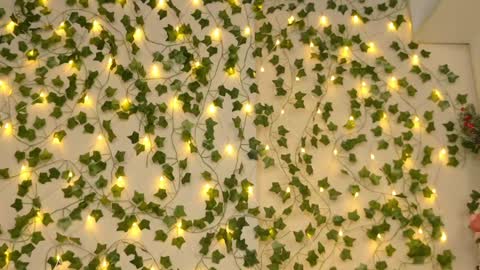 Snapshot of brenda_m00n chatting on 01-05-25, 09:25 Brenda online show from 01-05-25, 09:25