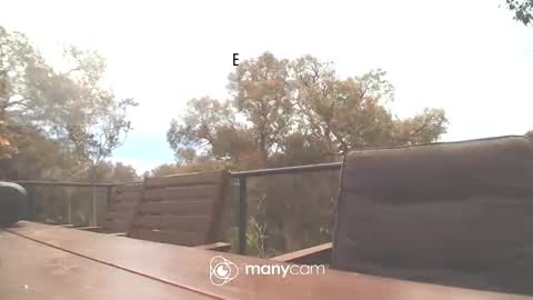 Fun Monster online show from 10-16-25, 02:01