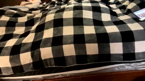 Snapshot of brownbootie1 chatting on 01-07-25, 04:05 brownbootie1 online show from 01-07-25, 04:05