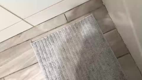 brownboyli online show from 03-02-26, 03:09