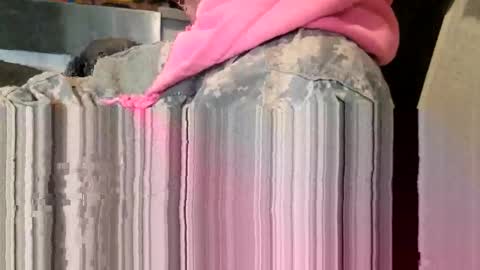 Snapshot of brushsquach chatting on 03-11-26, 08:59 Steve... aka SkinnieDippin aka TimberTramp online show from 03-11-26, 08:59