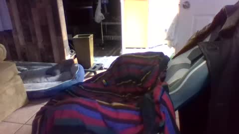 Snapshot of brutal3anddone chatting on 10-16-25, 05:14 brutal3anddone online show from 10-16-25, 05:14