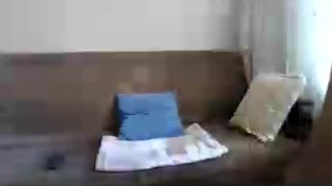 Snapshot of buckwessle chatting on 07-23-26, 12:36 Buck Wessle online show from 07-23-26, 12:36