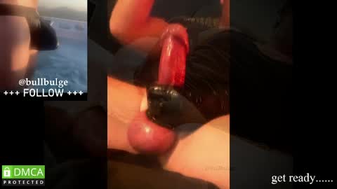 Snapshot of bullbulge chatting on 05-19-26, 03:02 Bull. online show from 05-19-26, 03:02