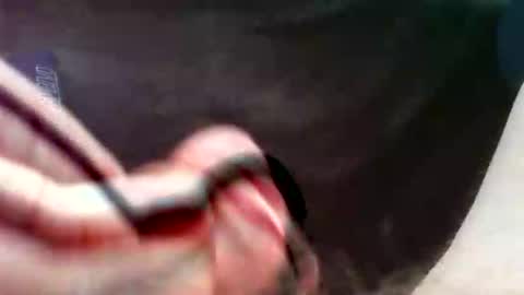 bullemoe online show from 09-16-25, 02:51