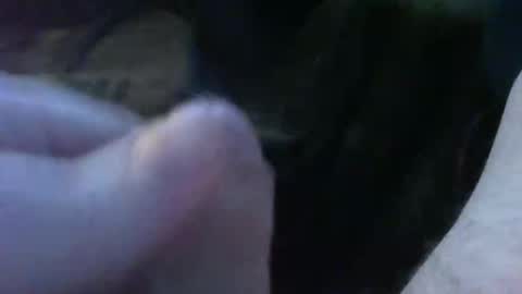 bullemoe online show from 09-30-25, 05:23