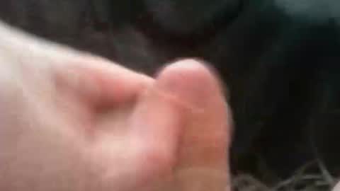 bullemoe online show from 10-02-25, 07:04