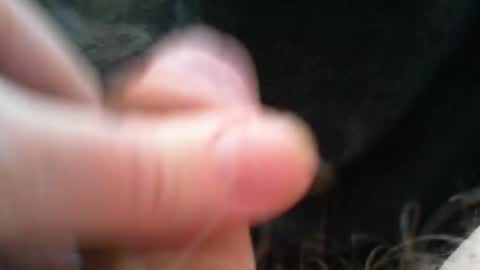 bullemoe online show from 12-15-25, 09:13