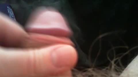 bullemoe online show from 03-06-26, 07:05