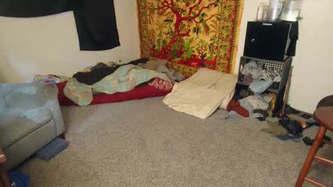 Shane online show from 12-15-25, 04:55