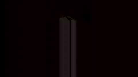 Burkemeister online show from 04-23-26, 01:40