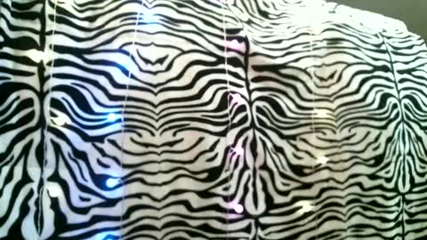 bustinfree online show from 02-24-25, 03:42