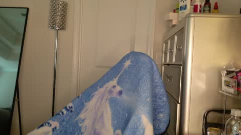 butterfly booty online show from 03-30-26, 12:50