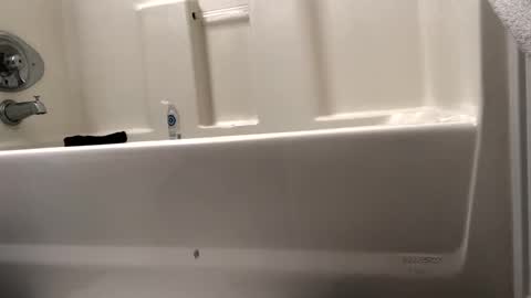 Snapshot of byrd2024 chatting on 02-15-25, 10:55 byrd2024 online show from 02-15-25, 10:55