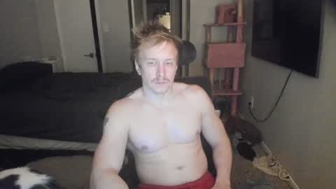 Snapshot of c00ki3m0nstr chatting on 06-19-26, 02:27 c00ki3m0nstr online show from 06-19-26, 02:27