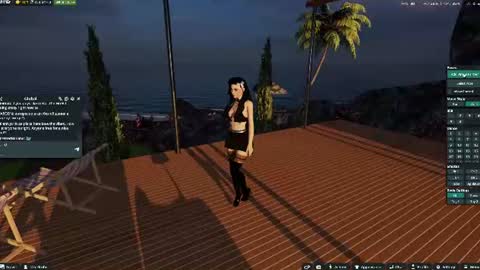 VIER online show from 07-11-26, 01:08