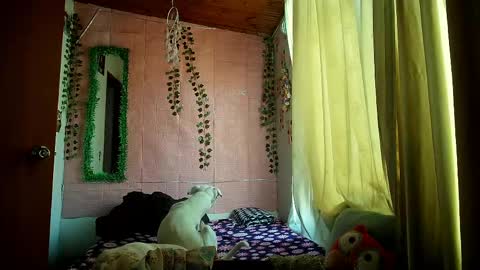 paula online show from 03-25-26, 09:54