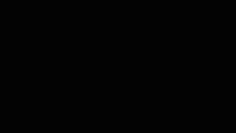 Charly online show from 05-20-26, 12:22