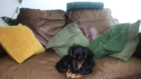 CamDoAttitude online show from 04-18-26, 11:58