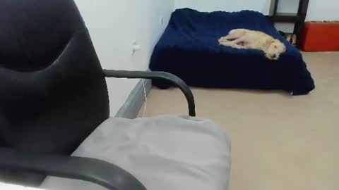 Cami online show from 07-10-26, 08:33