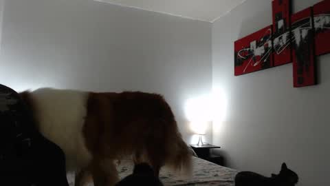 camila online show from 03-08-25, 11:16