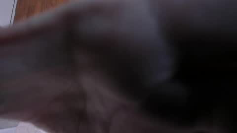 camilaa_smith_ online show from 04-02-26, 07:55