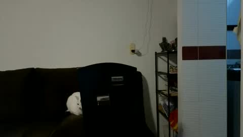 Snapshot of camiloex chatting on 10-15-25, 09:26 Camilo online show from 10-15-25, 09:26