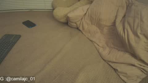 Laura Camila online show from 04-21-26, 04:34