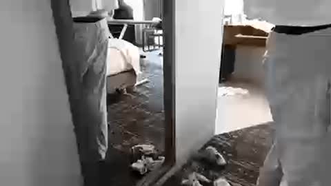 cammyman6900 online show from 03-25-26, 08:59