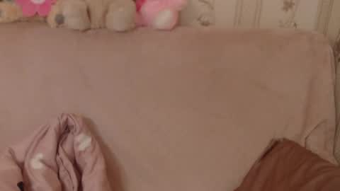say meow and send tip  online show from 06-03-26, 08:39