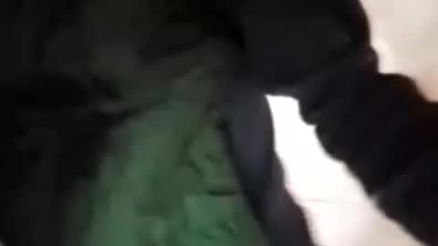 Snapshot of capri34 chatting on 09-21-25, 07:48 capri34 online show from 09-21-25, 07:48