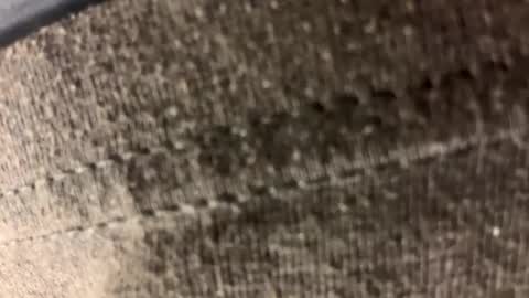 Carl1616 online show from 04-21-26, 01:42