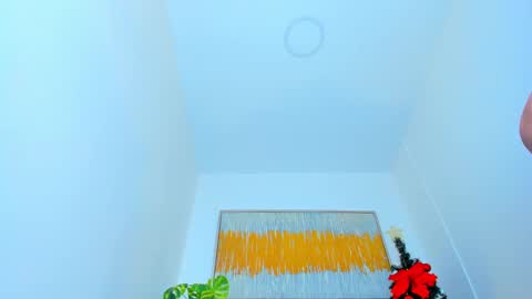 Snapshot of carlota_peach chatting on 01-08-25, 03:17 Andrea online show from 01-08-25, 03:17