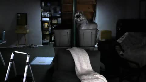 Snapshot of carltun1974 chatting on 02-04-25, 08:02 Carl online show from 02-04-25, 08:02