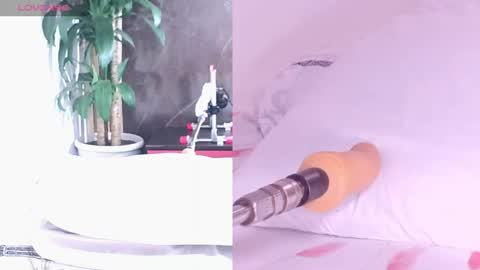 Carol online show from 04-16-26, 11:11