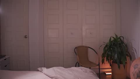 carolart online show from 02-03-26, 11:21