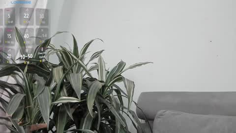 carolina_t online show from 01-22-25, 12:59