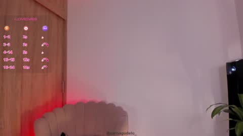Snapshot of carolinna_ chatting on 05-29-26, 12:30 carolinna_ online show from 05-29-26, 12:30