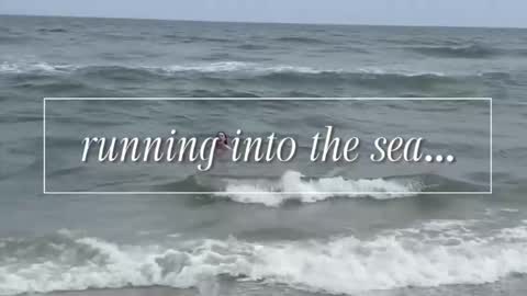 Snapshot of carriemadsin chatting on 12-02-25, 11:00 carrie madsin online show from 12-02-25, 11:00