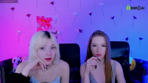 casey_meow_ online show from 06-04-26, 08:53