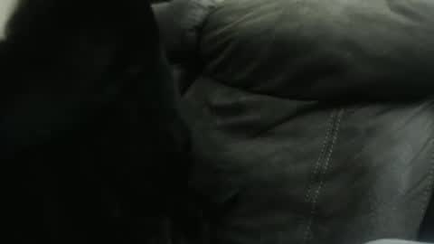 Snapshot of casidy1 chatting on 01-23-25, 10:32 casidy1 online show from 01-23-25, 10:32