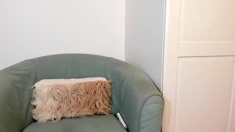 cassiecute - onlyfans account online show from 10-27-25, 11:03