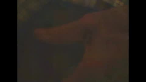 Snapshot of castells chatting on 02-23-25, 06:56 castells online show from 02-23-25, 06:56