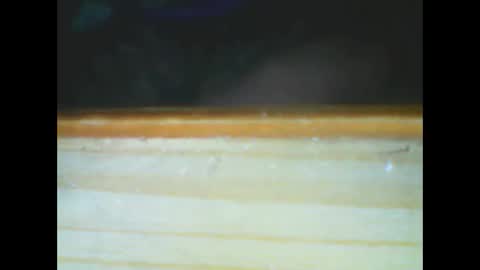 Snapshot of castells chatting on 12-15-25, 06:01 castells online show from 12-15-25, 06:01