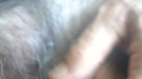 castells online show from 07-02-26, 02:56