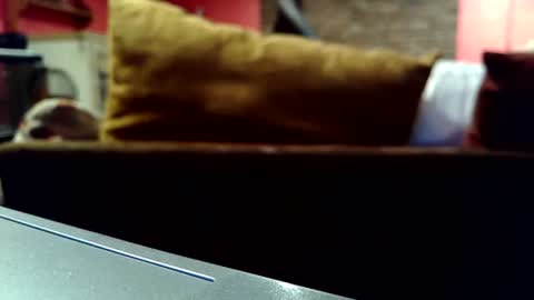 castration40 online show from 10-17-25, 08:39