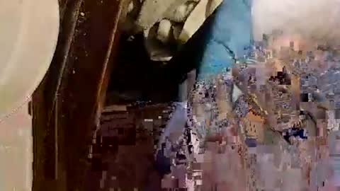 catdaddy179057 online show from 05-13-26, 12:35