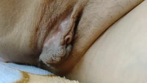 ANNYANNY online show from 03-08-26, 08:29