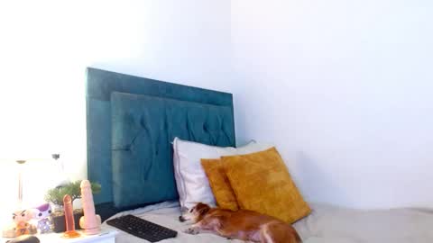 Cedrixx10 online show from 02-11-26, 08:58