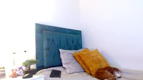 Cedrixx10 online show from 02-25-26, 10:19